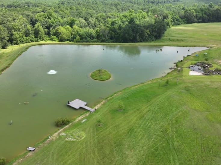 Un lago hecho para criar peces terminó convirtiéndose en un santuario salvaje en menos de 1,000 días y ahora atrae águilas, ciervos, búhos y toda una cadena ecológica