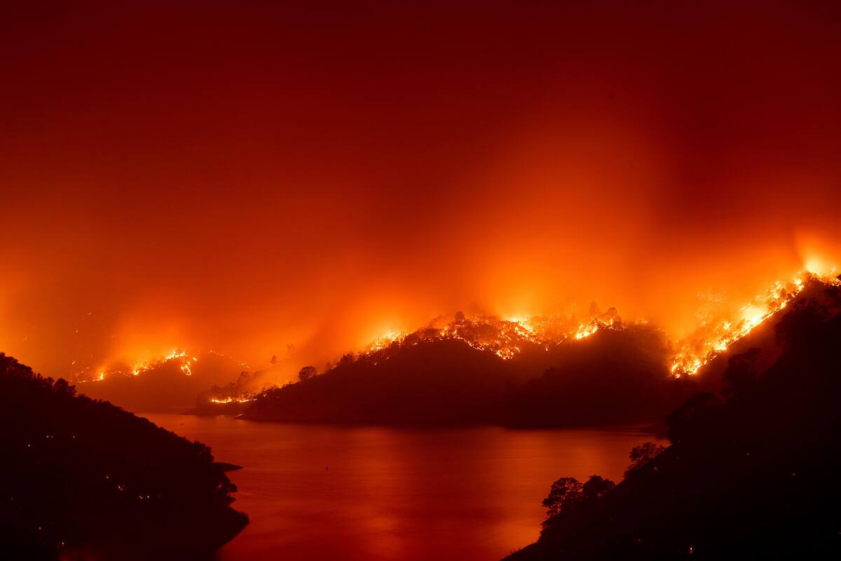Día mundial de la prevención de incendios forestales: ¿Cómo prevenir incendios forestarles?