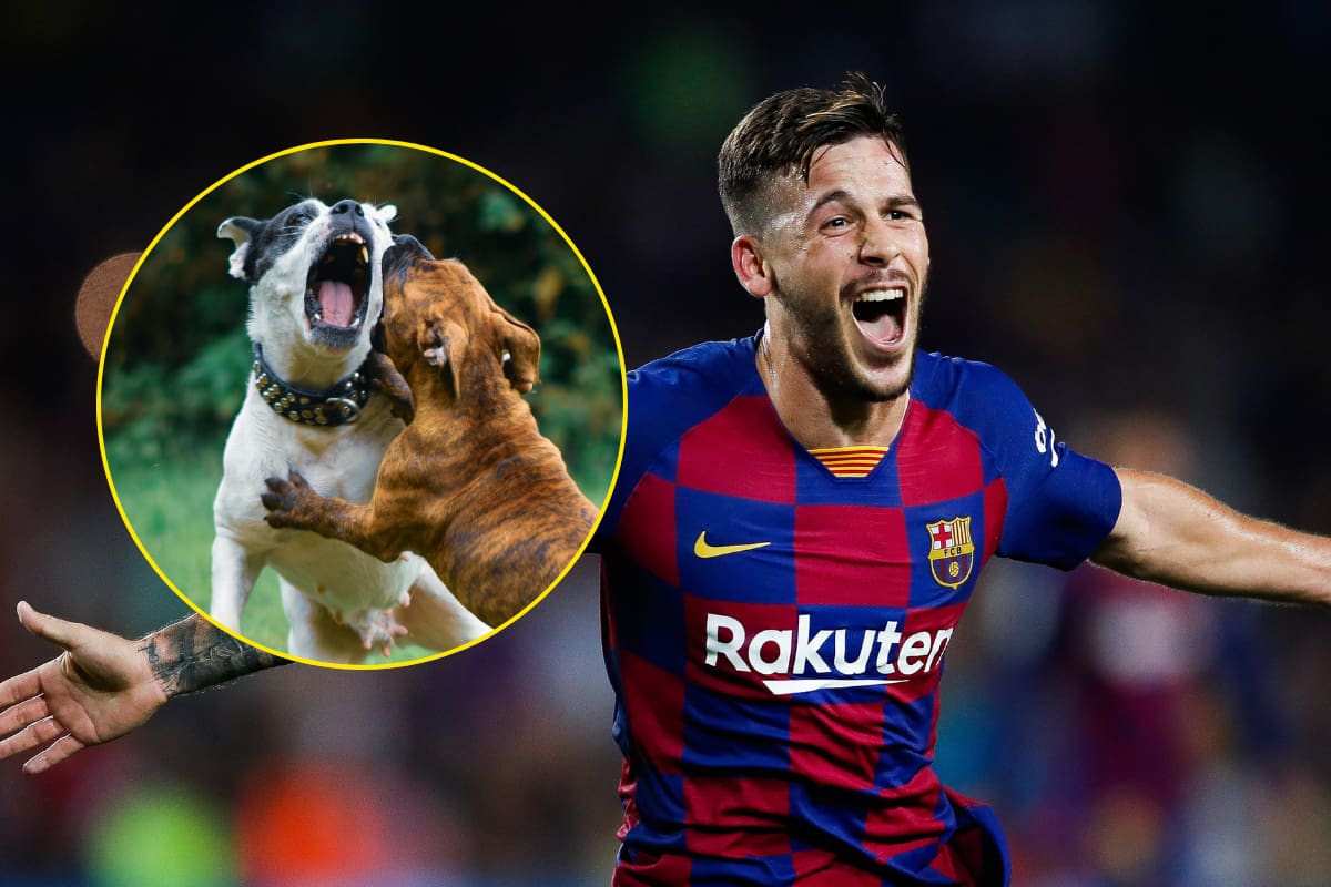 Ex jugador del Barcelona es hospitalizado de urgencia tras haber sido mordido por un perro en lo genitales