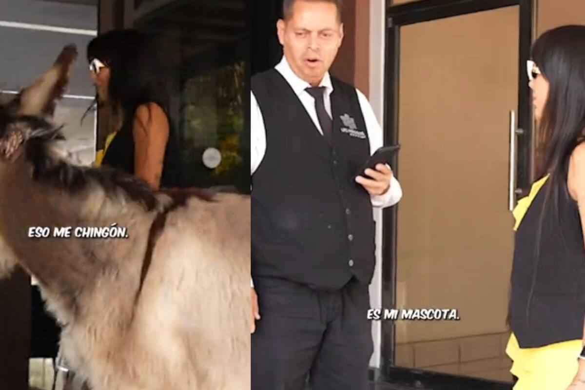 Influencer intenta entrar a un hotel pet-friendly con un burro y no la dejan pasar