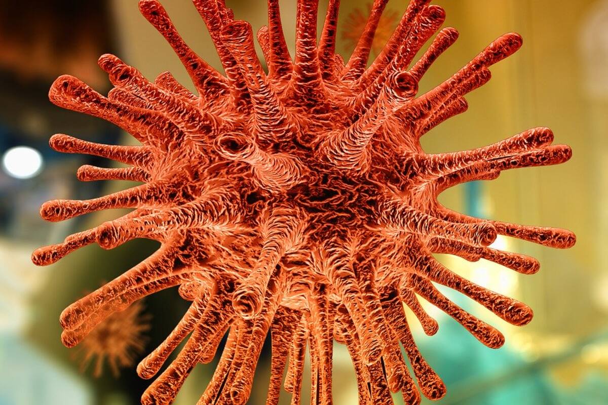 BCS registra primeros dos decesos por coronavirus