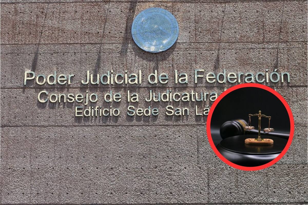 Renuncian los 5 integrantes del Comité de Evaluación del Poder Judicial por “imposibilidad jurídica”: ¿Qué pasará con la reforma judicial?