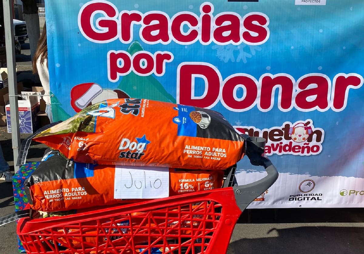 La edición 27 del Croquetón busca reunir 5 toneladas de alimento para apoyar a 19 agrupaciones dedicadas al rescate animal. Foto: Cortesía