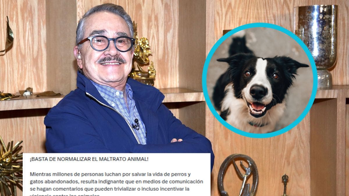 Animalistas arremeten contra Pedro Sola por expresar que le gustaría envenenar perros y exigen no minimizar mensajes que podrían incentivar el maltrato hacia los animales