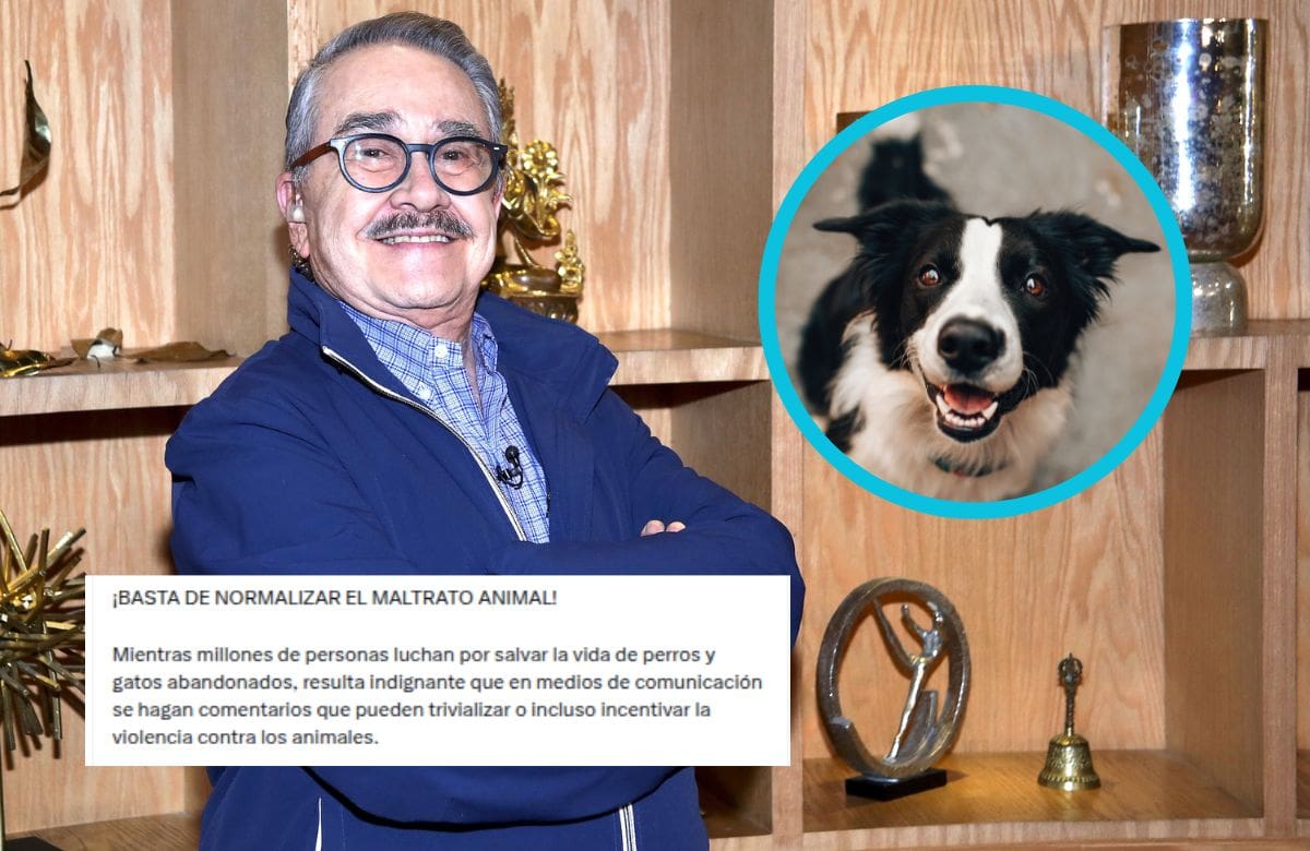 Animalistas arremeten contra Pedro Sola por expresar que le gustaría envenenar perros.