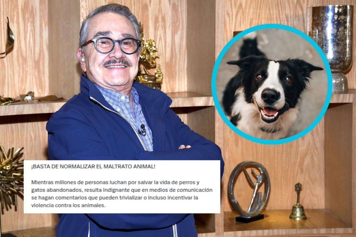 Animalistas arremeten contra Pedro Sola por expresar que le gustaría envenenar perros y exigen no minimizar mensajes que podrían incentivar el maltrato hacia los animales