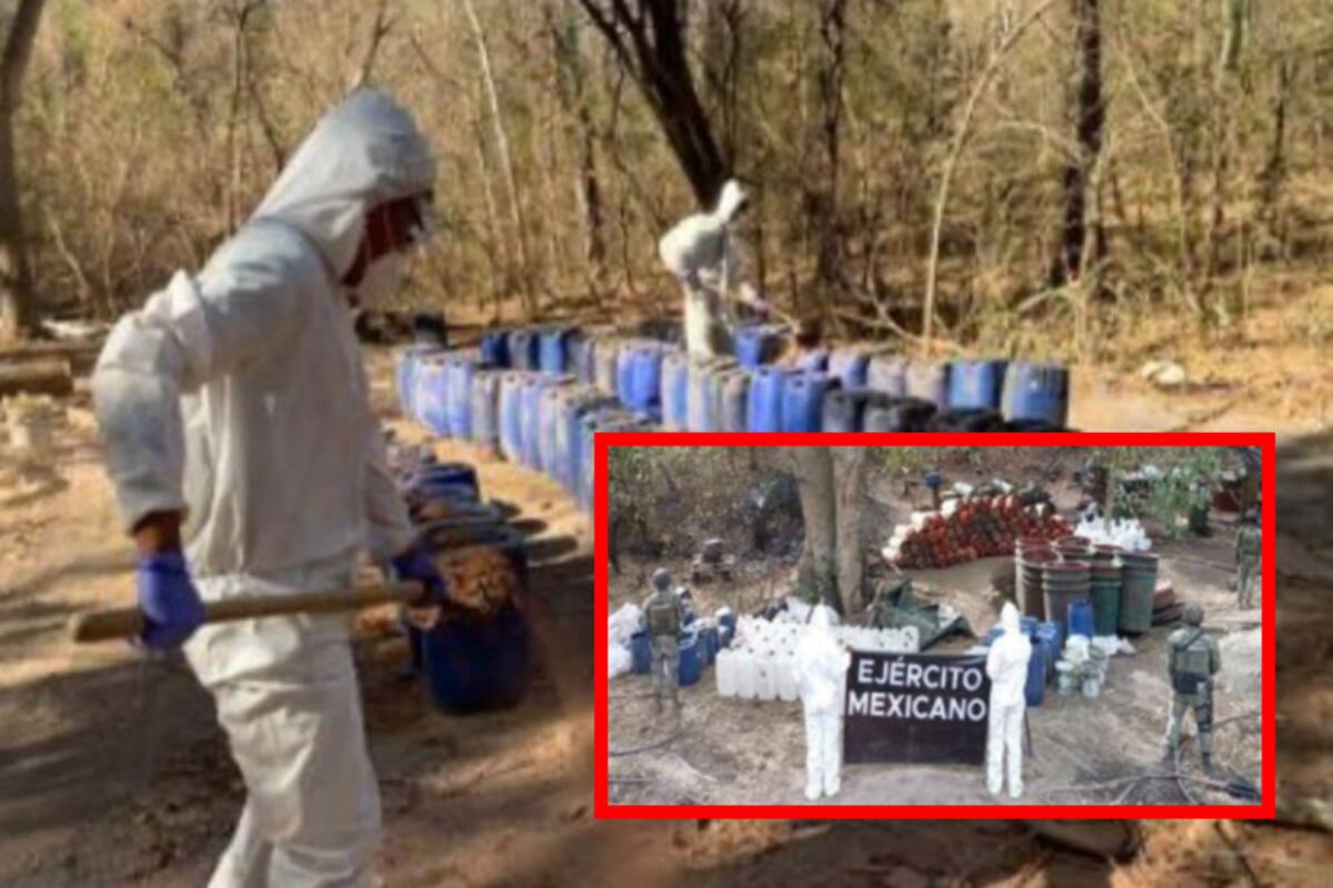 Autoridades desmantelan 12 laboratorios clandestinos en Sinaloa