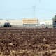 Altas temperaturas disparan plagas y obligan a productores del Valle del Yaqui a fumigar hasta cinco veces por ciclo