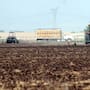 Altas temperaturas disparan plagas y obligan a productores del Valle del Yaqui a fumigar hasta cinco veces por ciclo