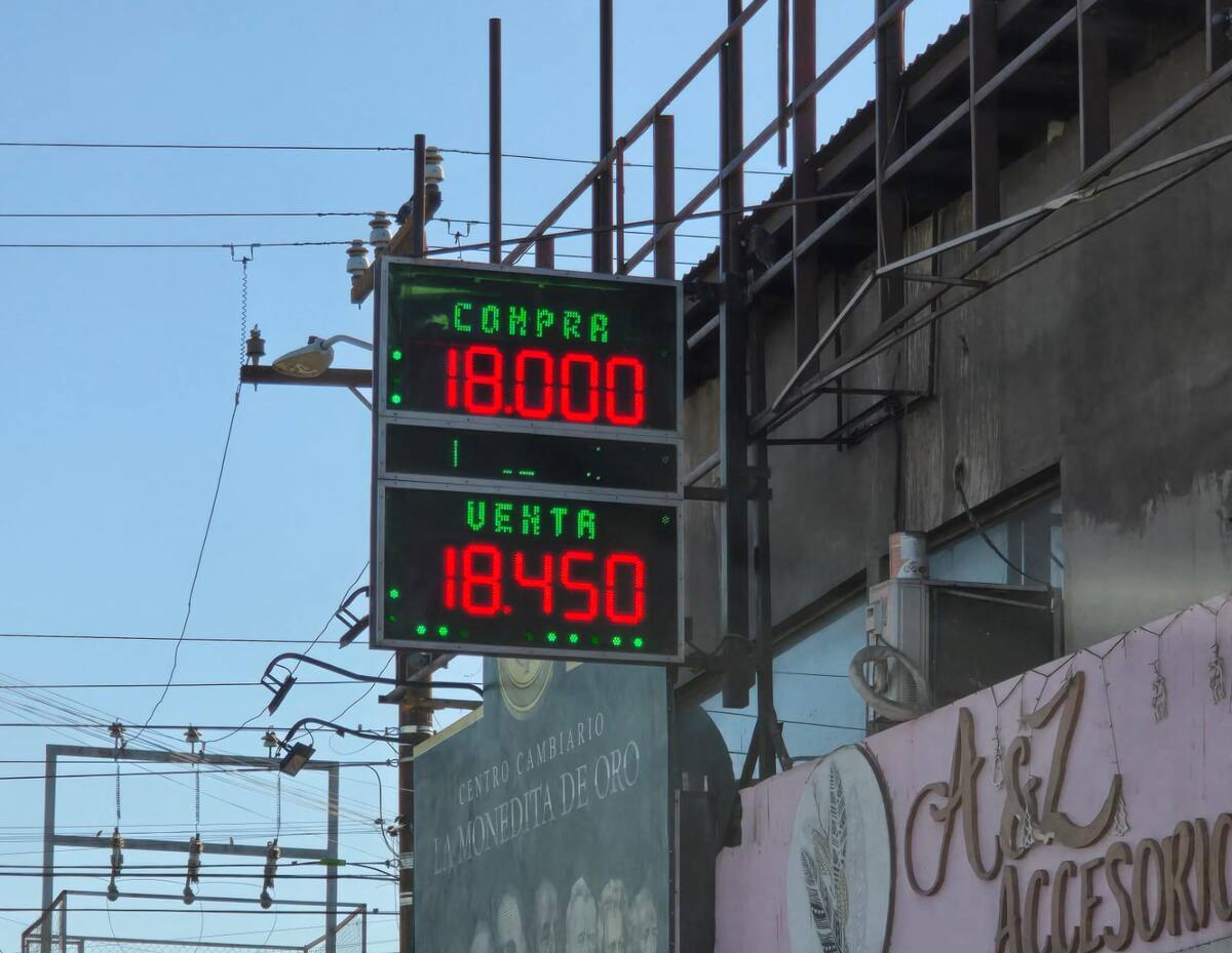 Foto: Javier Gallegos