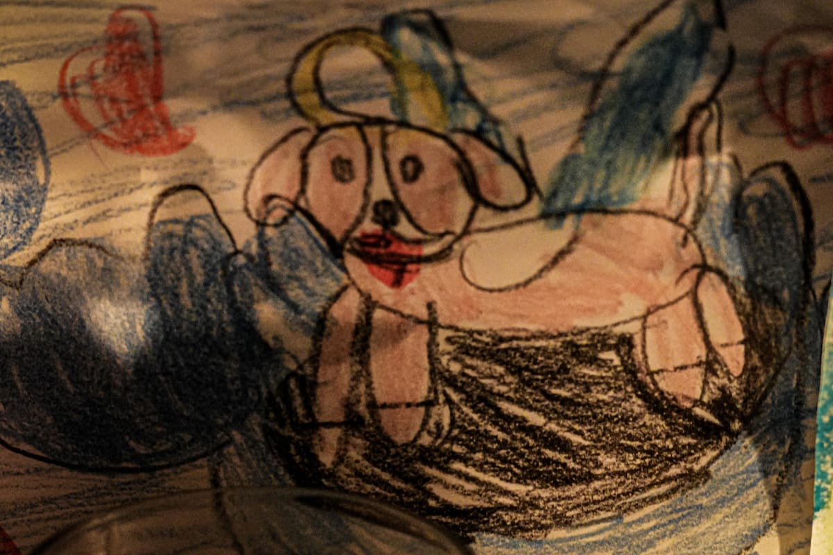 Activistas y vecinos participaron en una vigilia frente al domicilio donde ocurrió el caso de crueldad animal contra “Chatita”, para exigir que no quede impune. Fotos: Leonardo González