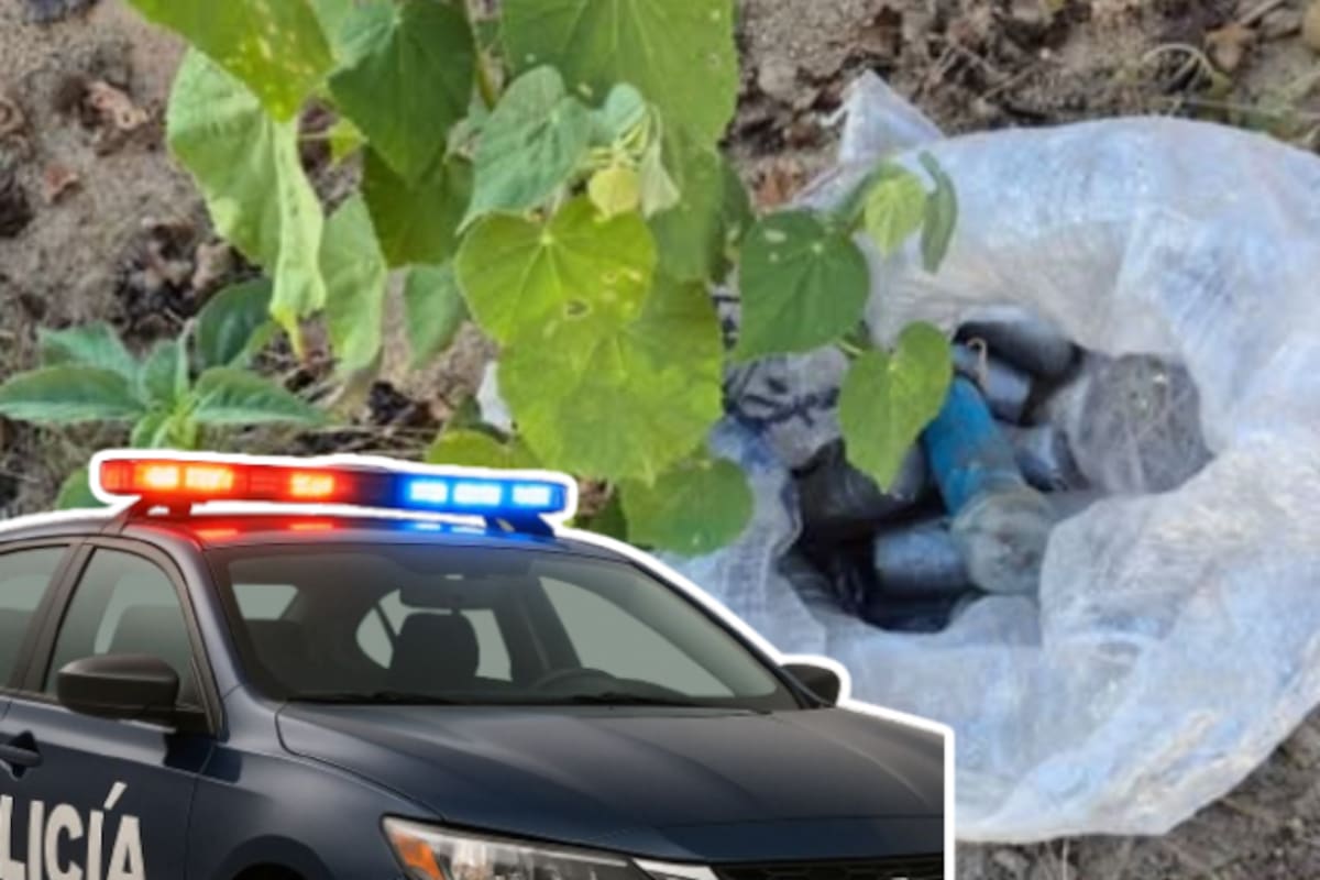 Hallazgo alarmante en Badiraguato: Ejército y autoridades destruyen 21 artefactos explosivos improvisados en zona rural