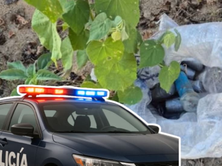 Hallazgo alarmante en Badiraguato: Ejército y autoridades destruyen 21 artefactos explosivos improvisados en zona rural