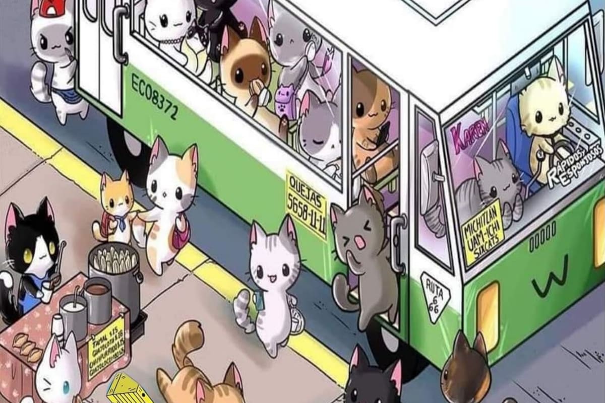 Reto visual: encuentra al gato distraído