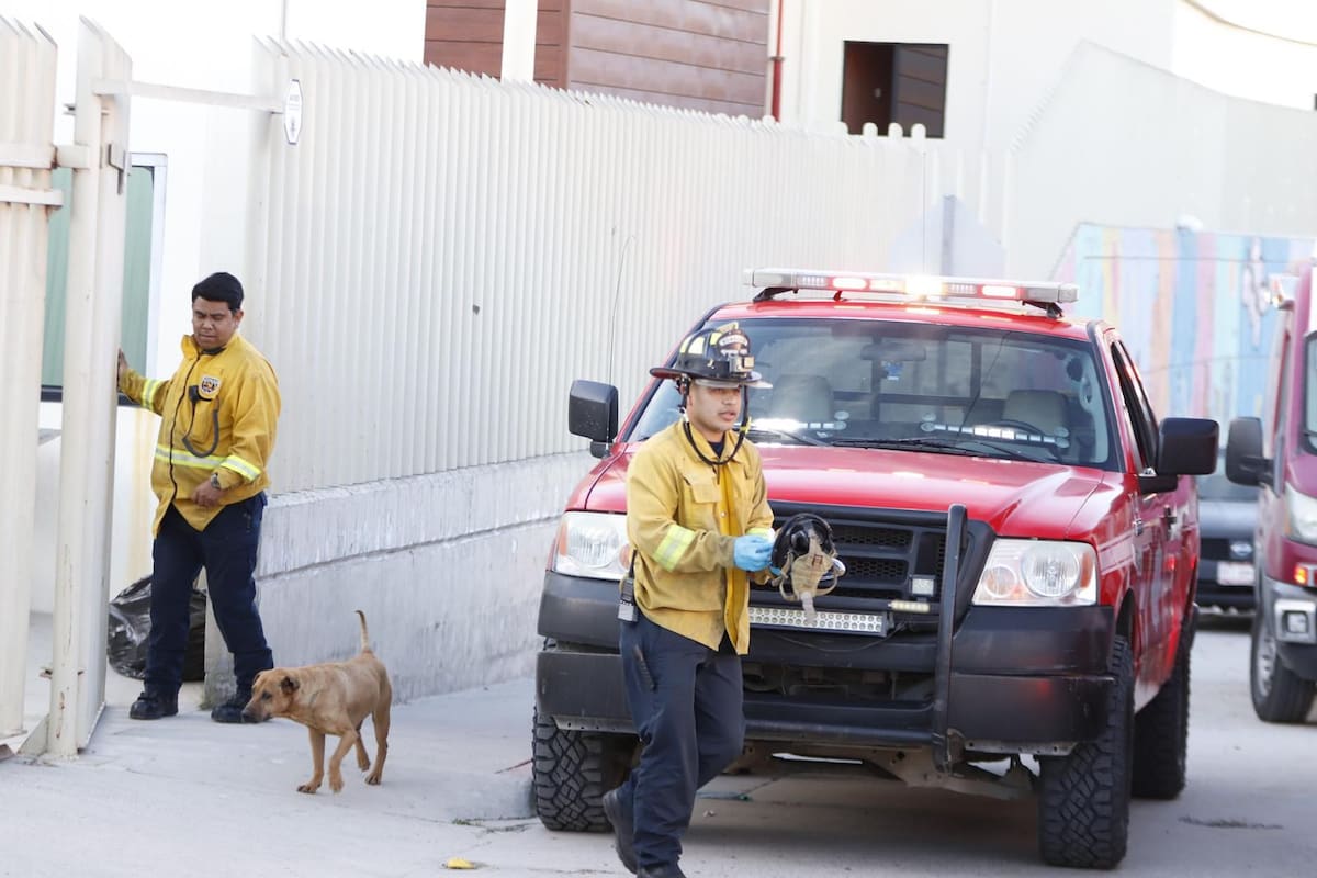 Mujer resulta intoxicada tras ingerir sustancia química en el Centro de Justicia para la Mujer