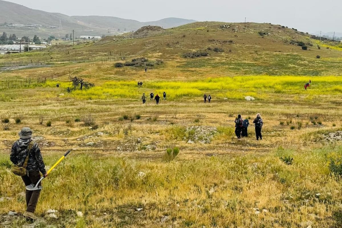 Localizan restos óseos durante operativo de búsqueda en Valle de las Palmas