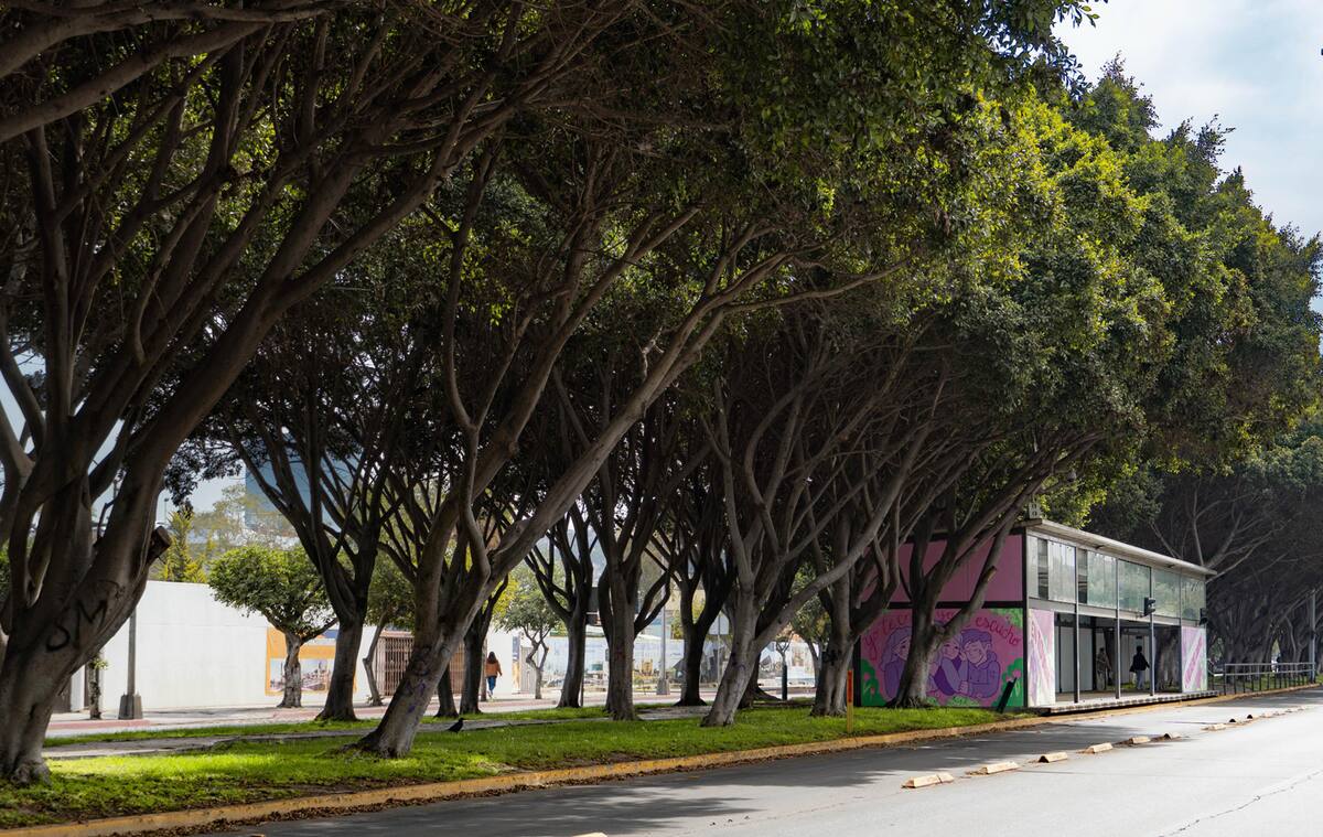 Invitan a la ciudadanía a participar en el programa de adopción de áreas verdes en Tijuana.