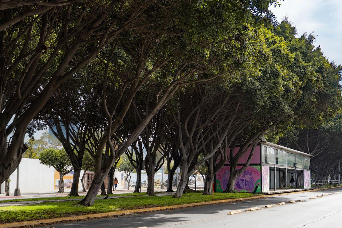 Quedan áreas verdes en segundo plano ante otras prioridades en Tijuana