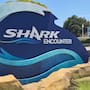 Sumérgete entre 11 especies de tiburones en el Shark Encounter de SeaWorld de San Diego