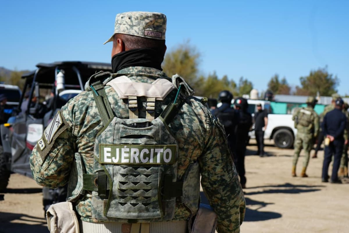 Gobierno de Marina del Pilar golpea producción de droga