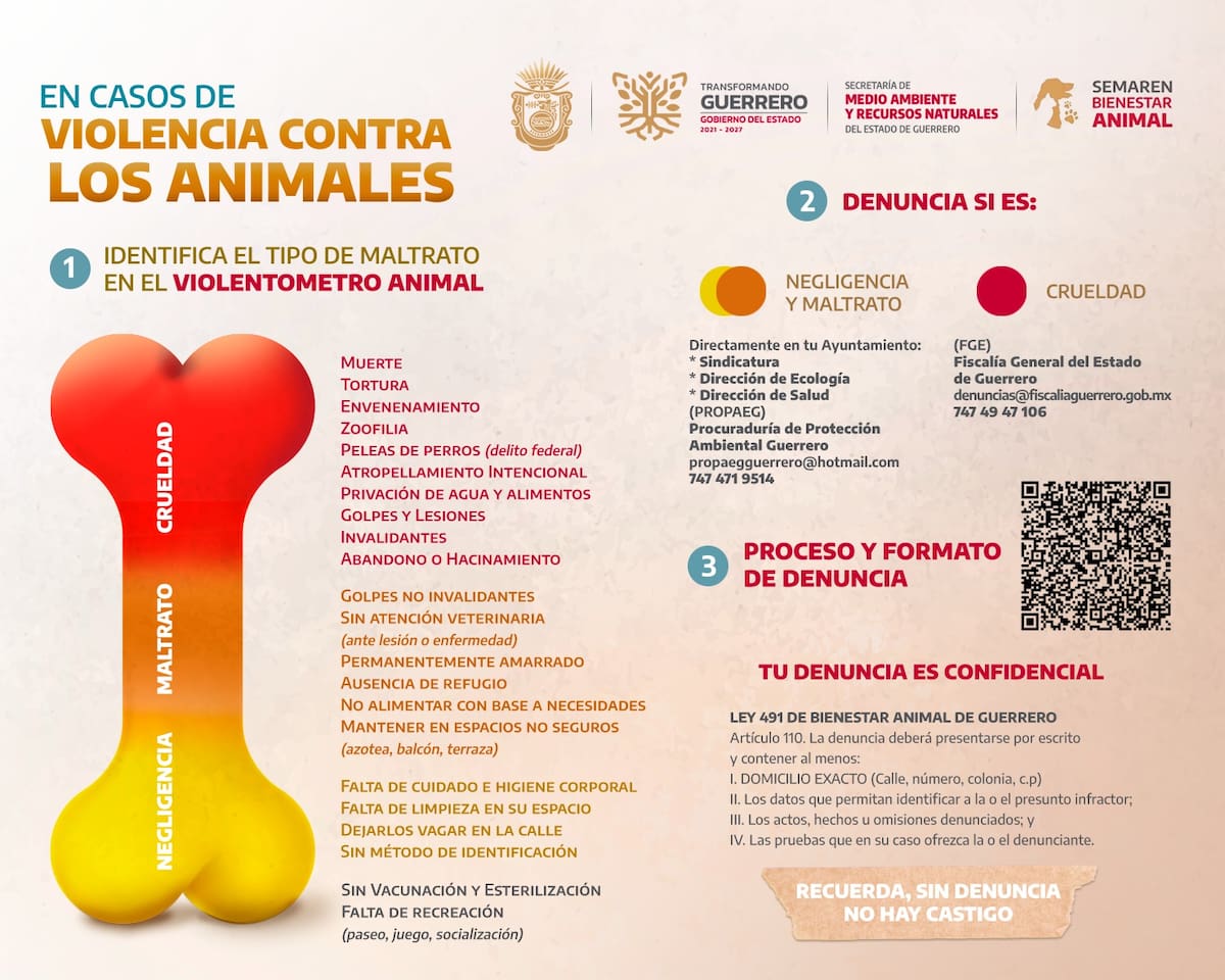CDMX implementa el Violentómetro Animal: una herramienta para clasificar y denunciar el maltrato a los animales