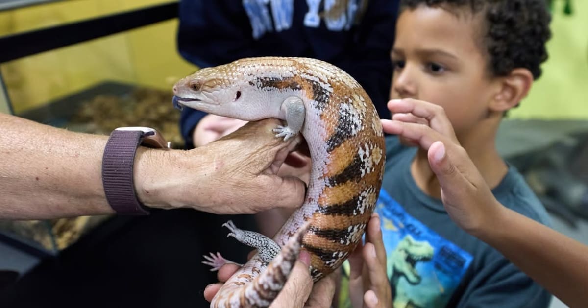 Ya está en curso, hay muchas actividades para disfrutar en familia hasta el 6 de julio. Foto: Cortesía