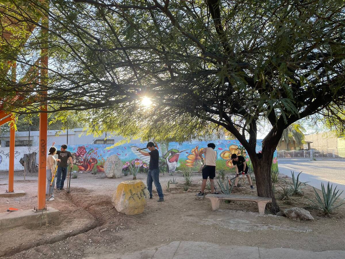 El objetivo a largo plazo es crear un “minibosque” similar al proyecto de bosque memorial del Panteón Yáñez. FOTO: CORTESÍA