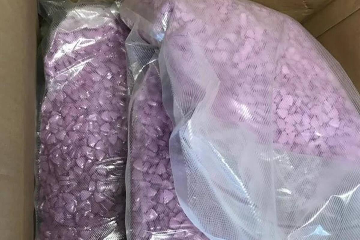 Pareja pide ropa por Internet y recibe millonaria carga de droga