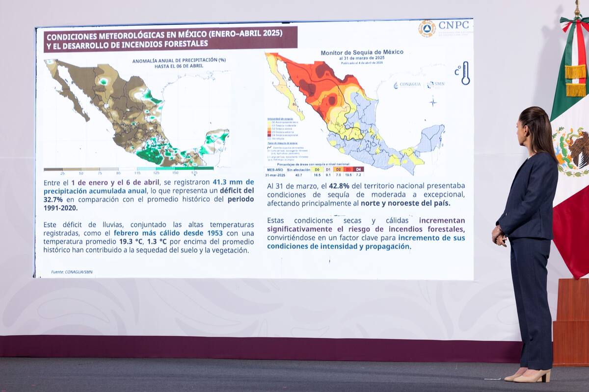 La titular de Protección Civil aseguró que en 46 incendios se ha logrado un control del 80 al 100%, por lo que se realizan labores de liquidación. | Crédito: Presidencia