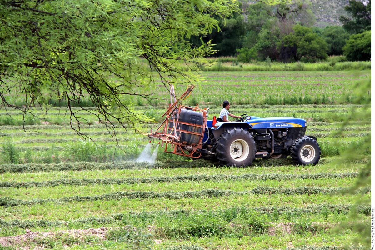 19 trabajadores agrícolas mexicanos dan positivo a coronavirus en Canadá