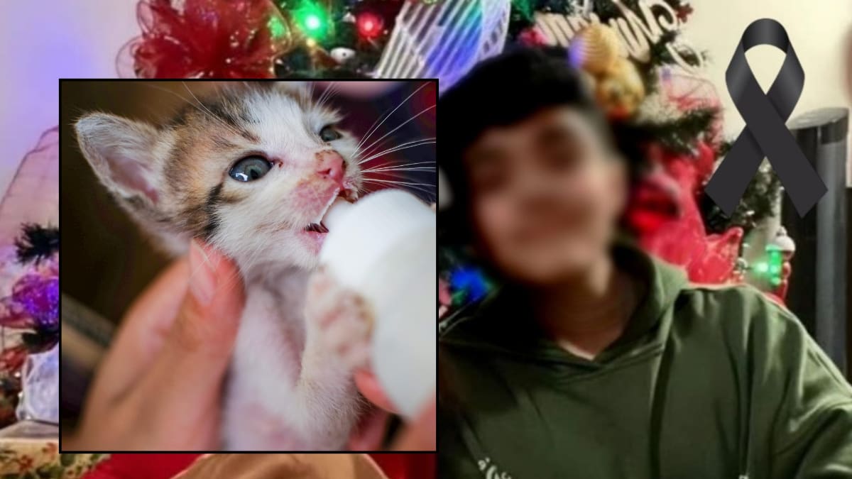 Asesinan a joven de 15 años en Culiacán: salió a comprar un biberón para alimentar a un gatito que había rescatado días antes