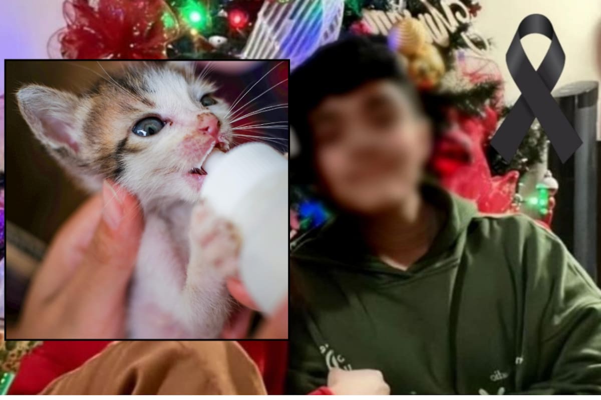 Asesinan a joven de 15 años en Culiacán: salió a comprar un biberón para alimentar a un gatito que había rescatado días antes