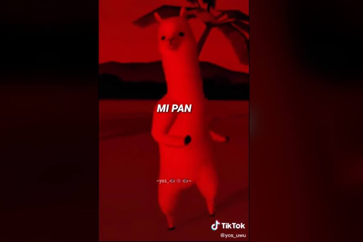"Mi pan su su sum, ñam ñam ñam": Qué dice la pegajosa melodía que se ha vuelto viral en TikTok