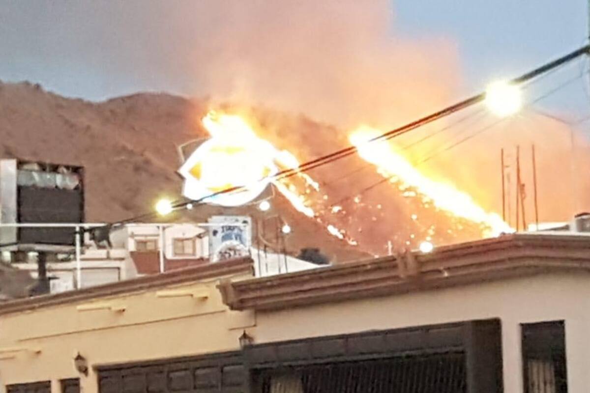 Incendio en Cerro del Bachoco es de maleza: Juan Matty