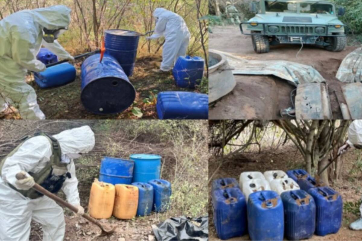Ejército y fuerzas federales desmantelan 19 áreas clandestinas de precursores quimicos en Sinaloa