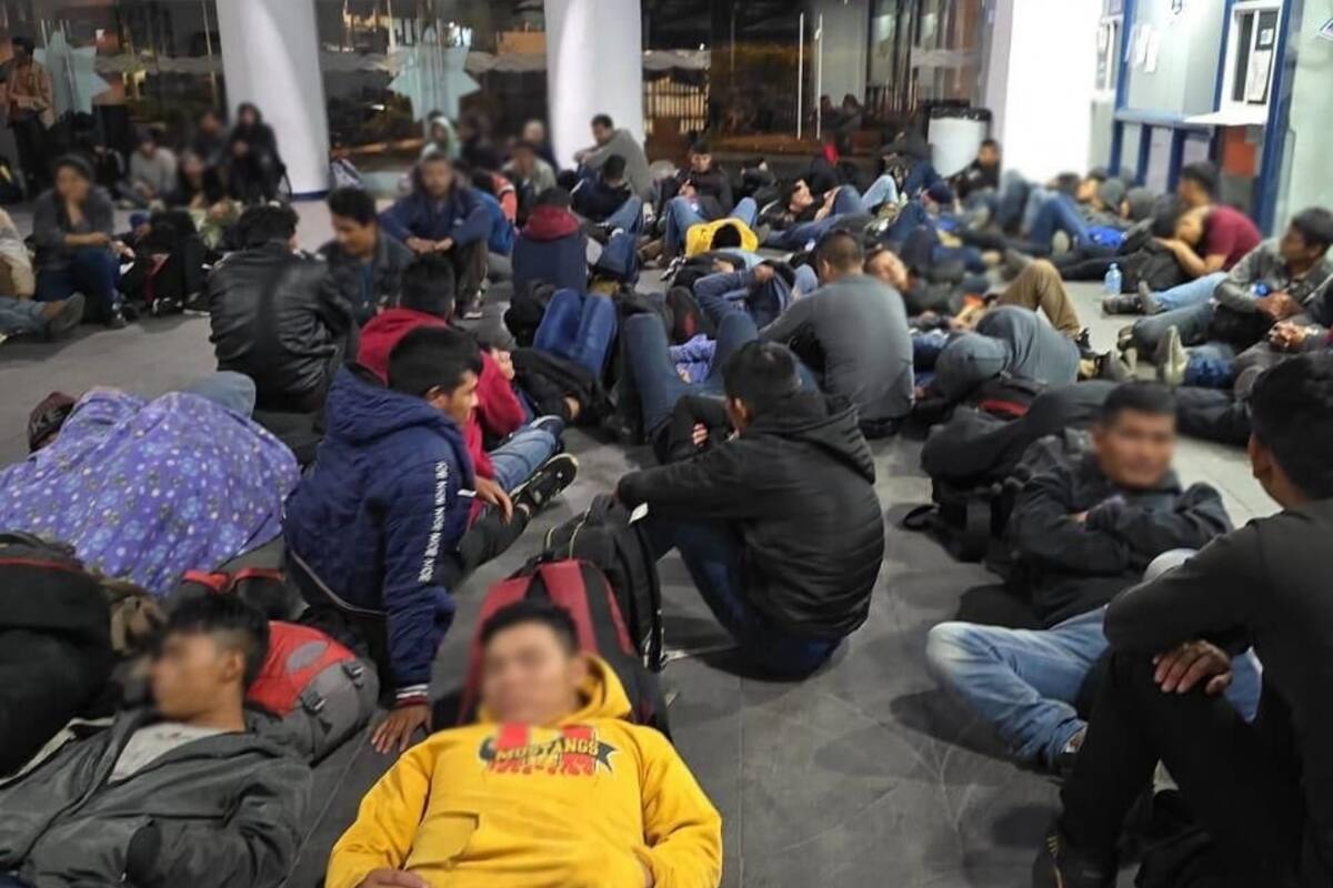 Anuncia INM rescate de 156 migrantes en Veracruz que viajaban hacinados