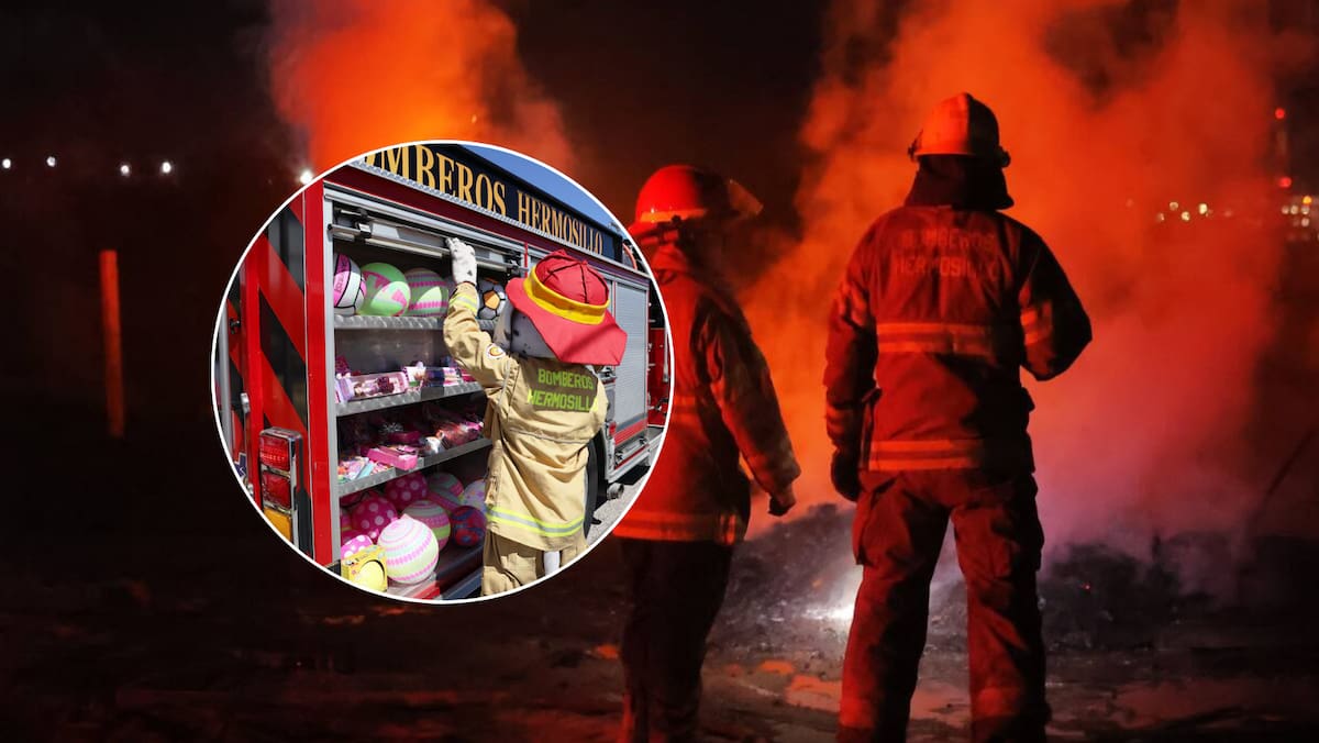 Los bomberos están en la actualidad altamente capacitados en diferentes áreas