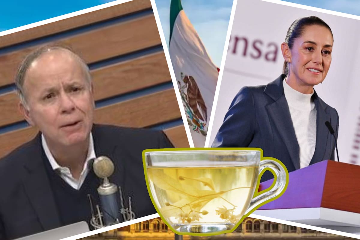 Ciro Gómez Leyva responde a Sheinbaum tras decirle que tomara té de tila: “No estoy en contra de su gobierno”