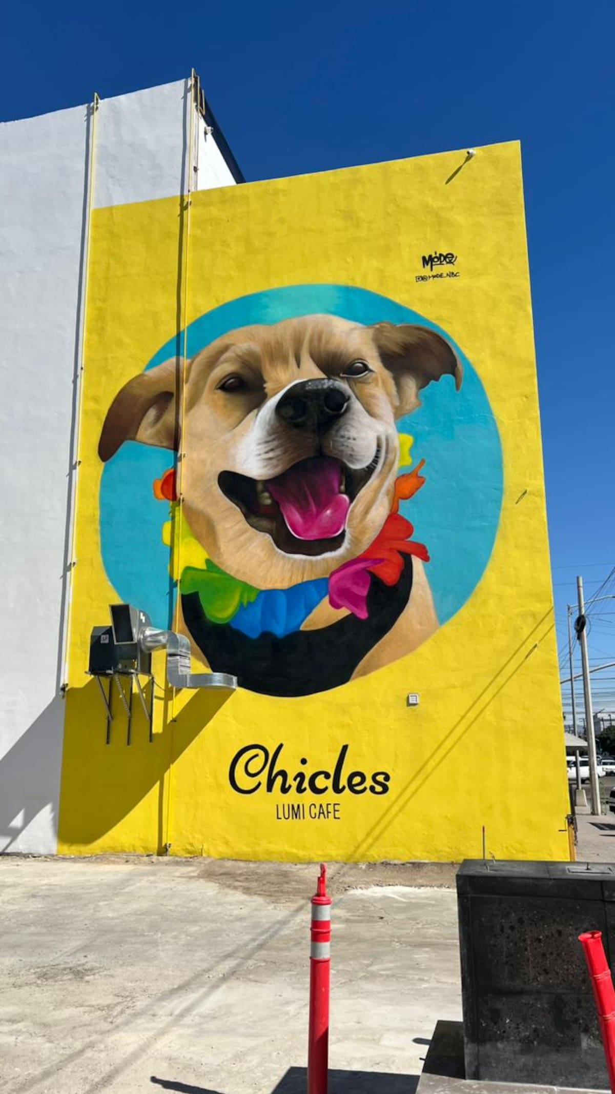 corredores, vecinos y su dueño, Héctor Hernández Salazar, realizaron una vuelta al circuito en honor a Chicles y se develó un mural dedicado al canino en contra esquina de la Avenida Revolución. Foto: Leonardo González y Carlos Cruz