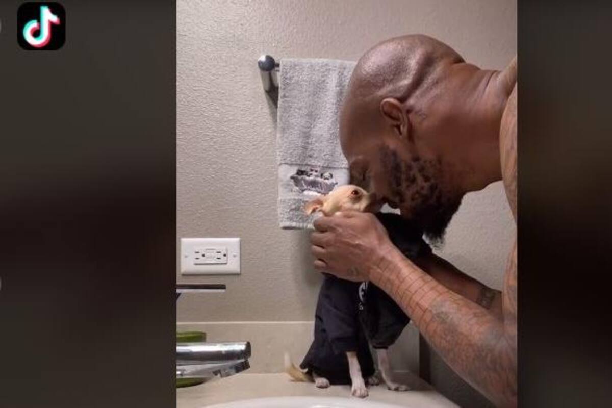 TIKTOK: Perrito conmueve al dejarse bañar por su dueño