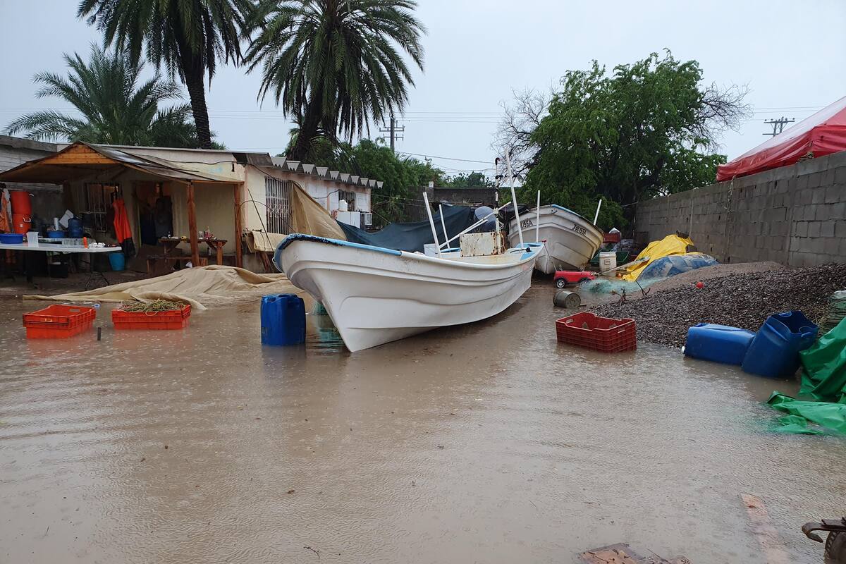 Abrirán centro de acopio para damnificados por "Lorena"