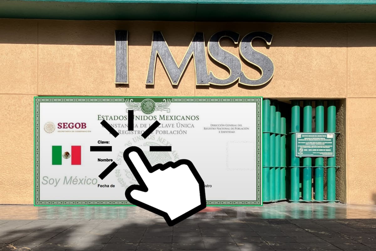 ¿Cómo darse de alta en el IMSS por internet? Guía paso a paso para registrarte sólo con tu CURP