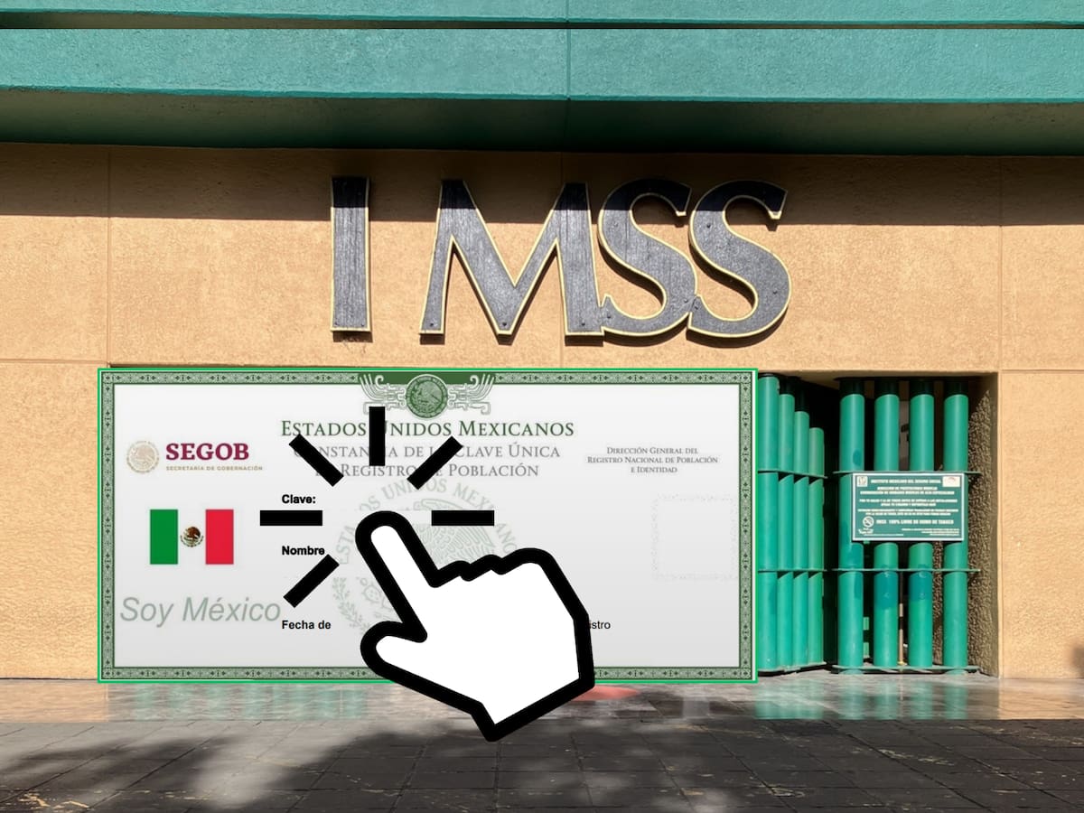 Sólo necesitas tu CURP para darte de alta en el IMSS a través de internet. | Crédito: Archivo digital GH (Héctor García)