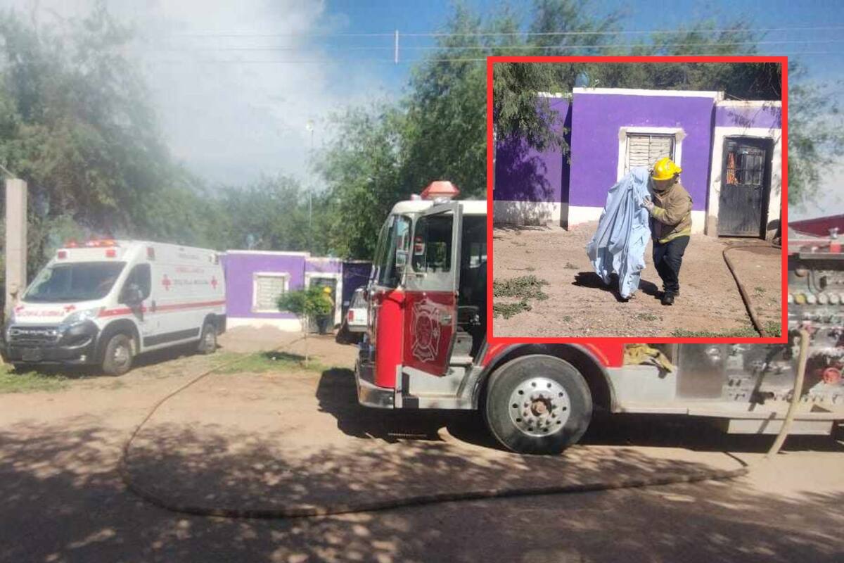 Rescata Bomberos a familia atacada por abejas en Etchojoa