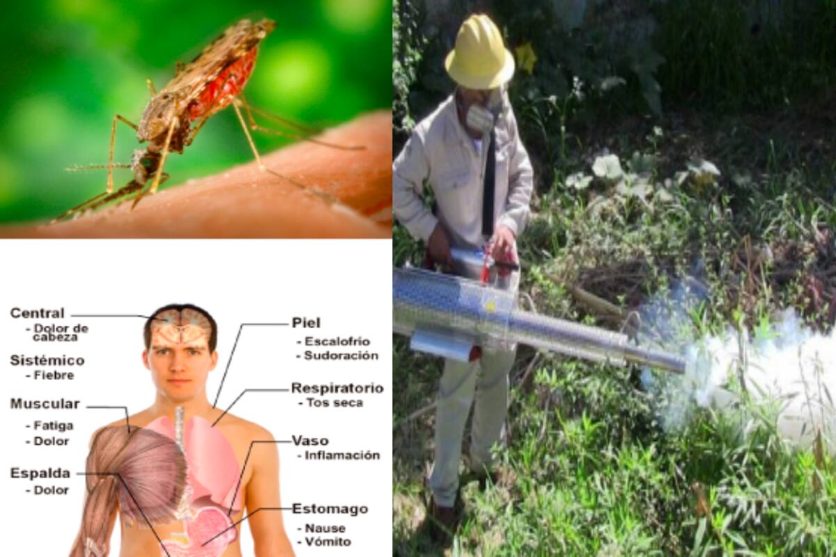 Detectan en Oaxaca primer caso de malaria o paludismo en cuatro años