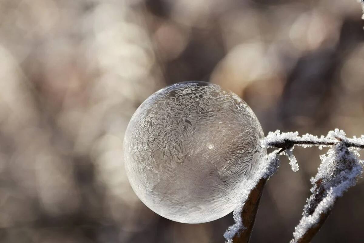 Queman bolas de nieve para demostrar que la nieve en Texas es falsa, difundiendo una teoría conspirativa