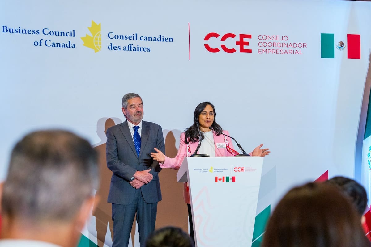 El canciller mexicano Juan Ramón de la Fuente y su homóloga canadiense, Anita Anand. | Crédito: X @AnitaAnandMP