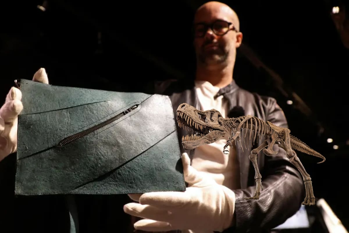 300 mil euros valía el bolso creado con colágeno de T-Rex, pero la subasta en París fracasó cuando las ofertas apenas llegaron a la mitad de su estimación