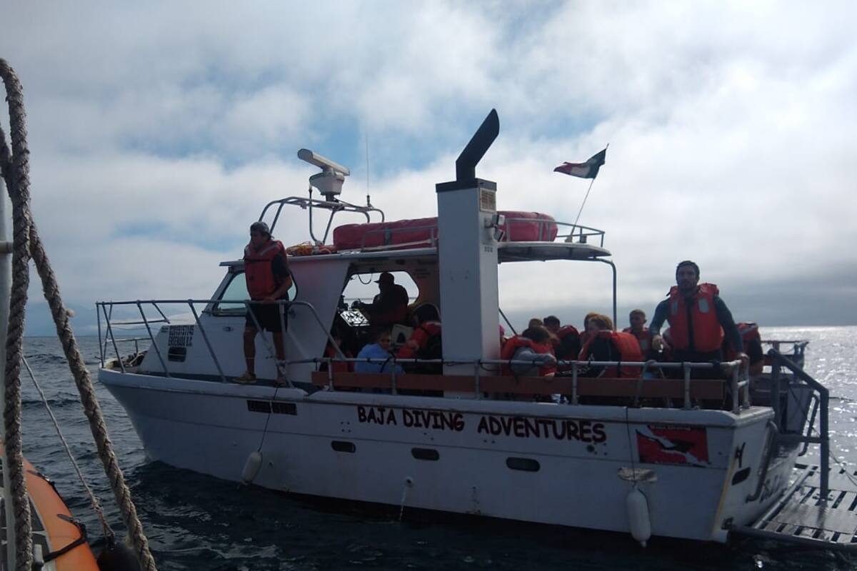 Realizan evacuación médica de tripulante a bordo de una embarcación turística en Ensenada