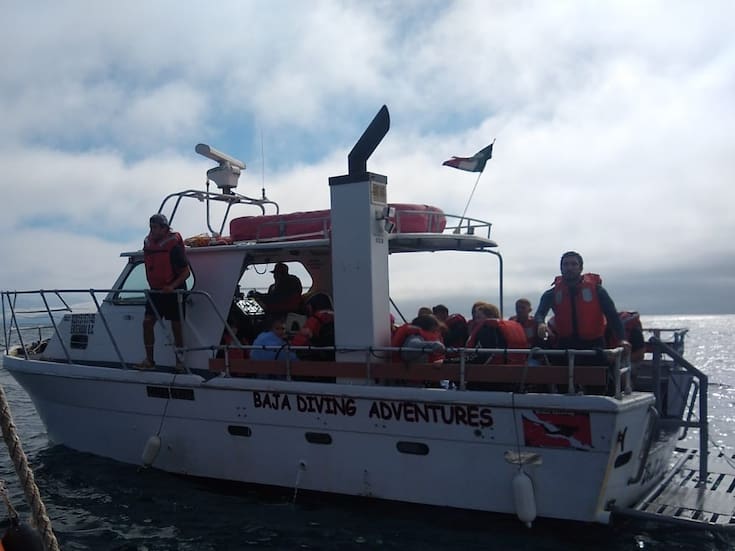 Realizan evacuación médica de tripulante a bordo de una embarcación turística en Ensenada